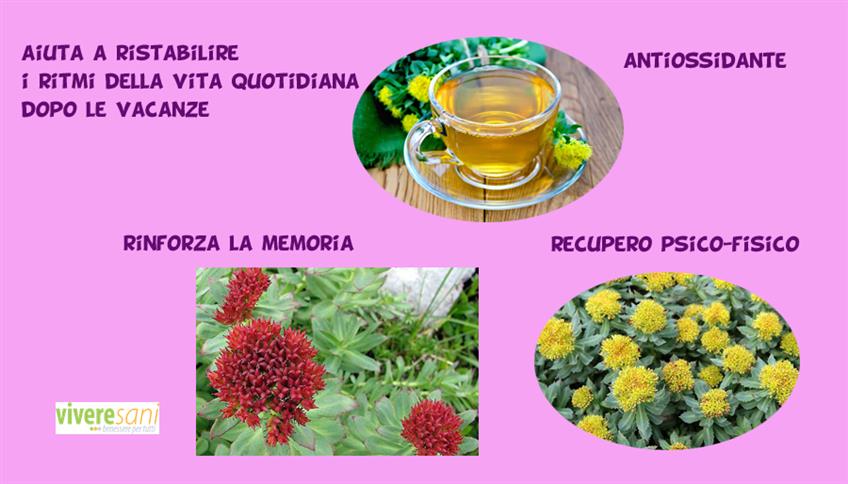 Rhodiola Rosea, la radice artica Rhodiola Rosea, la radice artica